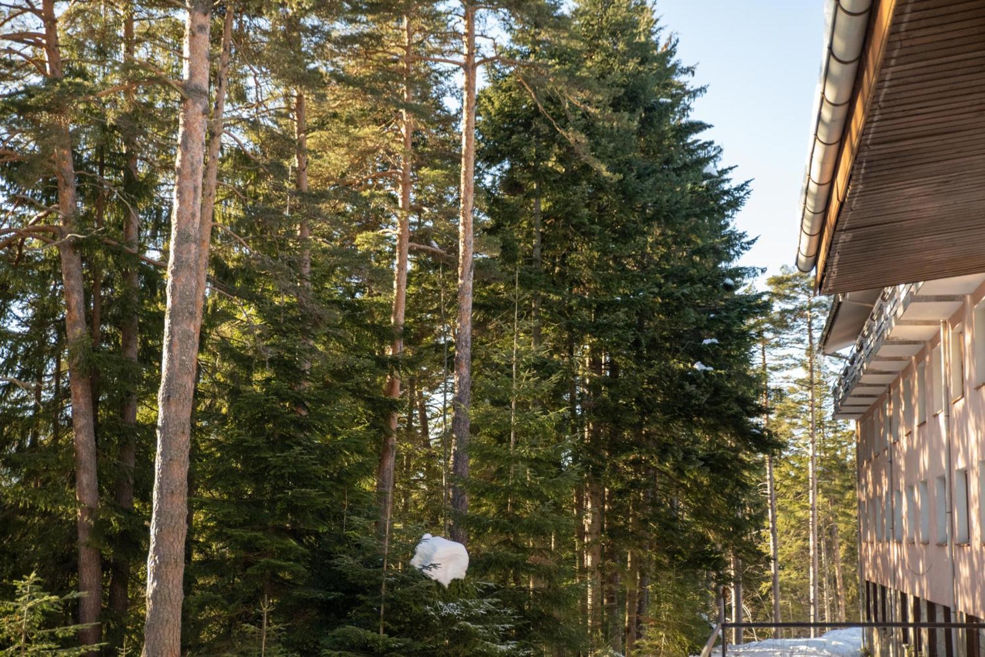 Hotel Borovets Edelweiss Buitenkant foto